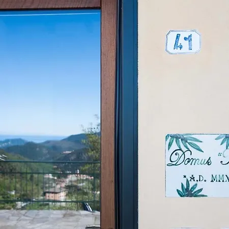 Domus Milli
