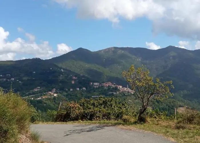 Дом отдыха Domus Milli *