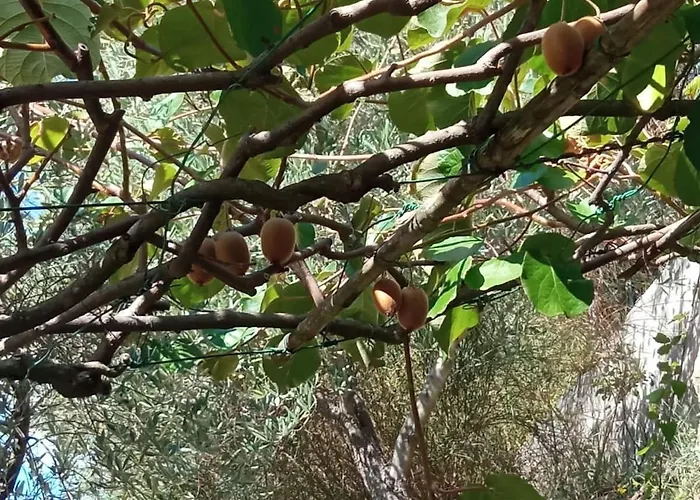 Domus Milli Дом отдыха Castiglione Chiavarese