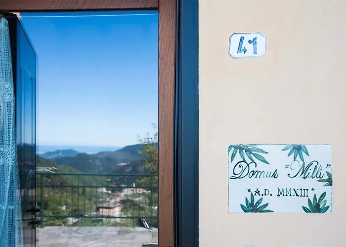 Domus Milli
